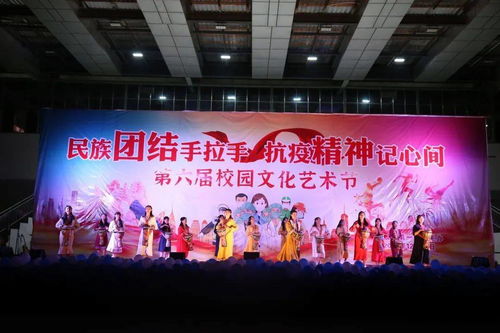 藝術之花綻放邊城，青春夢想揚帆起航——鎮康縣第一中學第六屆校園文化藝術節圓滿落幕